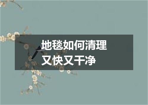地毯如何清理又快又干净