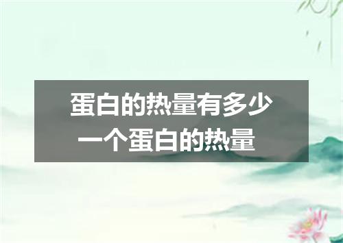 蛋白的热量有多少 一个蛋白的热量