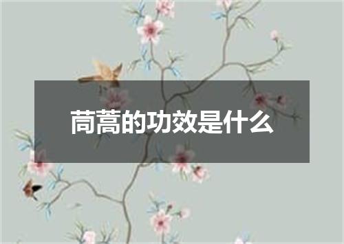 茼蒿的功效是什么