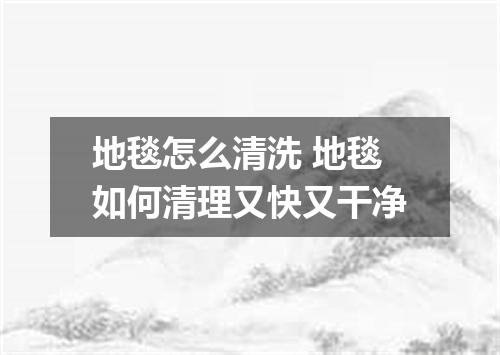 地毯怎么清洗 地毯如何清理又快又干净