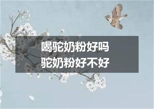 喝驼奶粉好吗 驼奶粉好不好