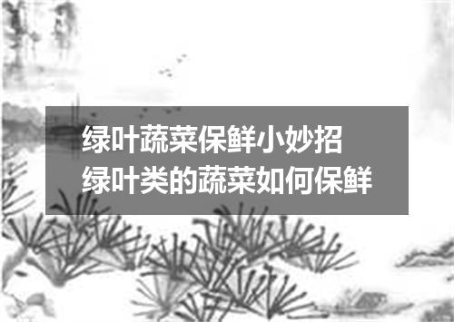 绿叶蔬菜保鲜小妙招 绿叶类的蔬菜如何保鲜