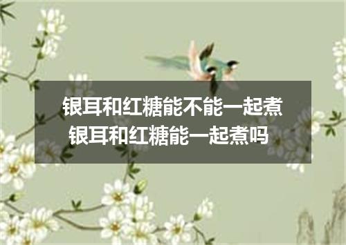 银耳和红糖能不能一起煮 银耳和红糖能一起煮吗