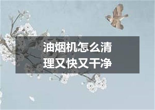 油烟机怎么清理又快又干净