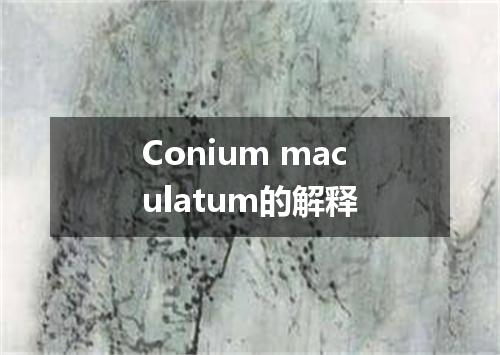 Conium maculatum的解释