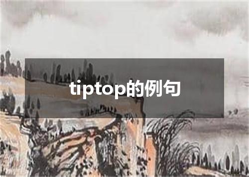 tiptop的例句