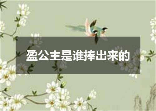 盈公主是谁捧出来的
