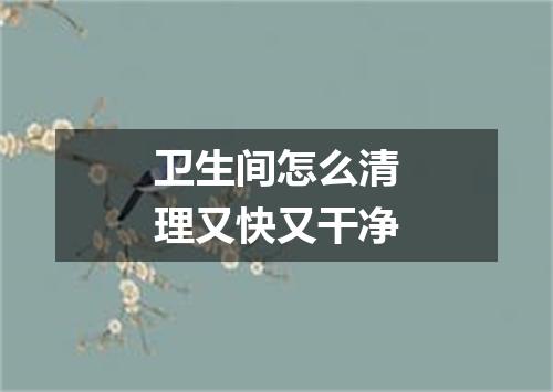 卫生间怎么清理又快又干净
