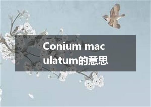 Conium maculatum的意思