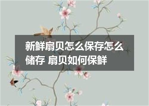 新鲜扇贝怎么保存怎么储存 扇贝如何保鲜