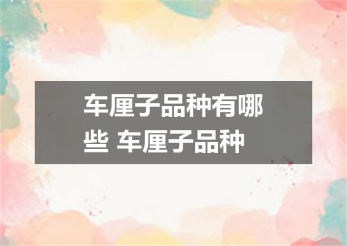 车厘子品种有哪些 车厘子品种