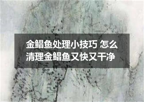 金鲳鱼处理小技巧 怎么清理金鲳鱼又快又干净