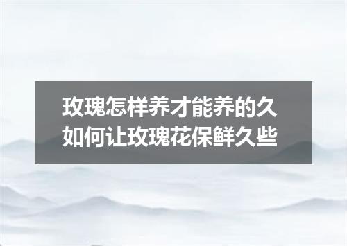 玫瑰怎样养才能养的久 如何让玫瑰花保鲜久些