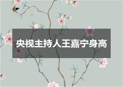 央视主持人王嘉宁身高