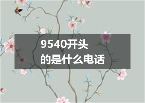 9540开头的是什么电话