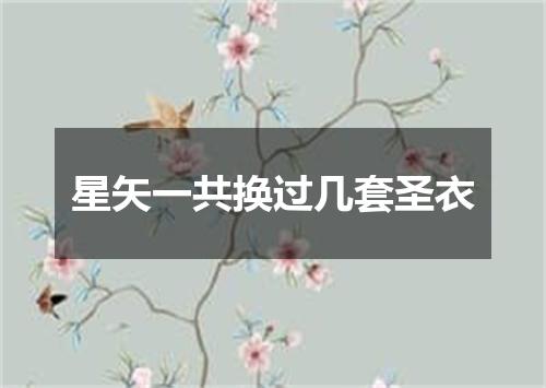 星矢一共换过几套圣衣