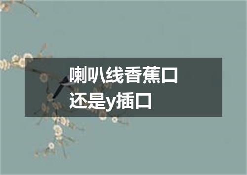 喇叭线香蕉口还是y插口