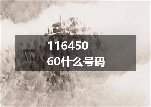 11645060什么号码