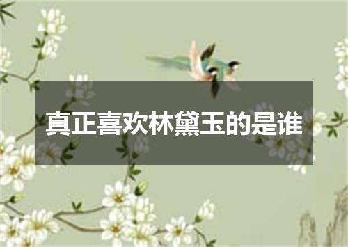 真正喜欢林黛玉的是谁