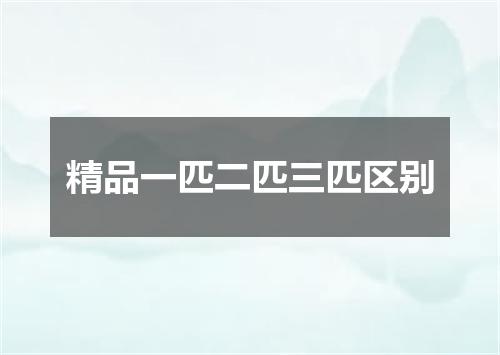 精品一匹二匹三匹区别