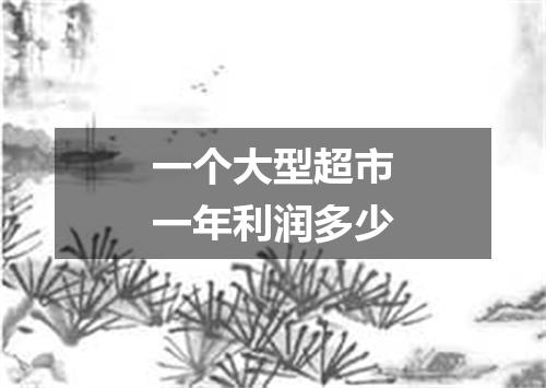 一个大型超市一年利润多少