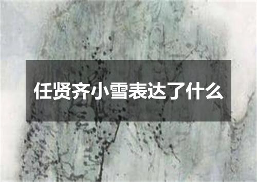 任贤齐小雪表达了什么