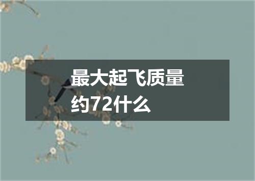 最大起飞质量约72什么