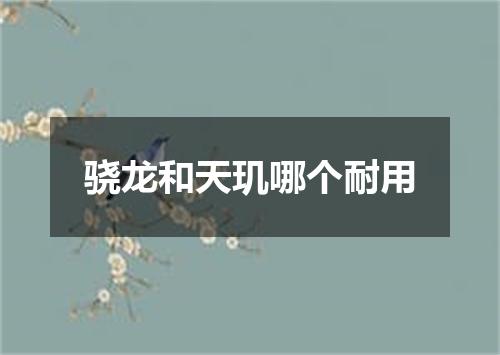 骁龙和天玑哪个耐用