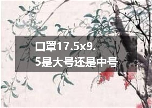口罩17.5x9.5是大号还是中号