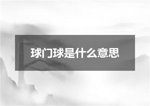 球门球是什么意思
