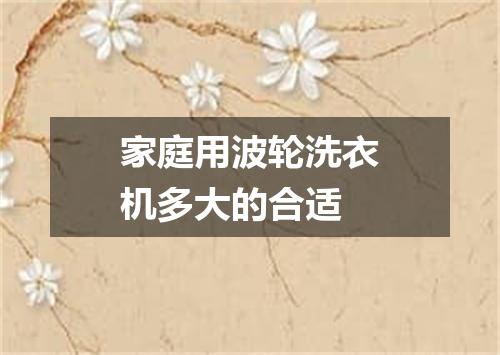家庭用波轮洗衣机多大的合适