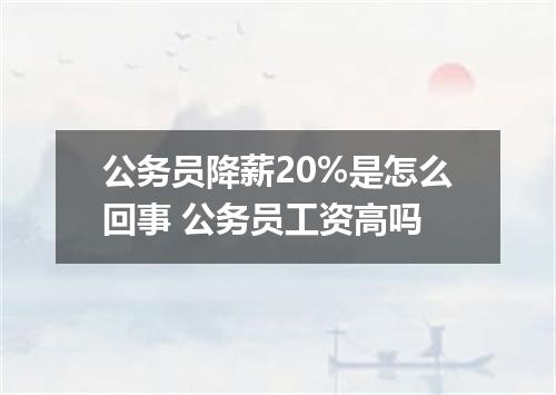 公务员降薪20%是怎么回事 公务员工资高吗