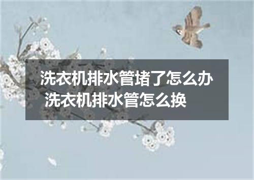 洗衣机排水管堵了怎么办 洗衣机排水管怎么换