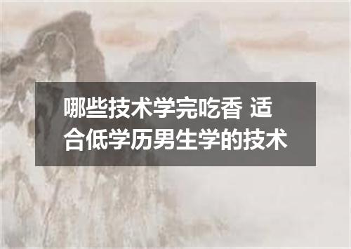 哪些技术学完吃香 适合低学历男生学的技术