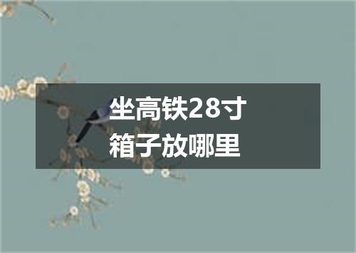 坐高铁28寸箱子放哪里