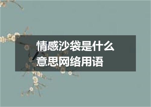 情感沙袋是什么意思网络用语