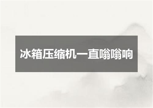 冰箱压缩机一直嗡嗡响