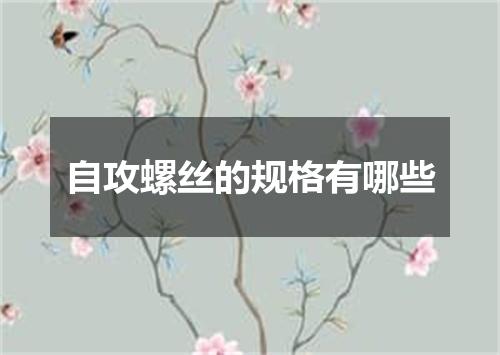 自攻螺丝的规格有哪些