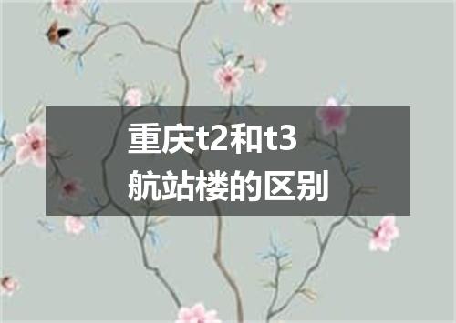 重庆t2和t3航站楼的区别