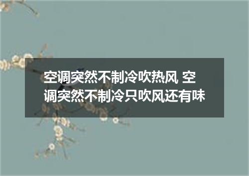 空调突然不制冷吹热风 空调突然不制冷只吹风还有味