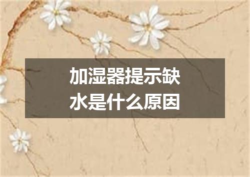 加湿器提示缺水是什么原因