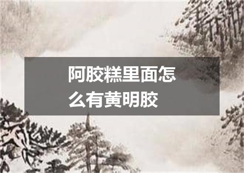 阿胶糕里面怎么有黄明胶