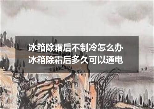 冰箱除霜后不制冷怎么办 冰箱除霜后多久可以通电