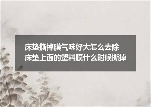 床垫撕掉膜气味好大怎么去除 床垫上面的塑料膜什么时候撕掉