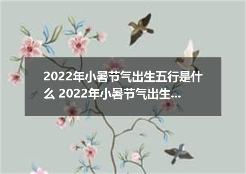 2022年小暑节气出生五行是什么 2022年小暑节气出生的男宝宝命好吗