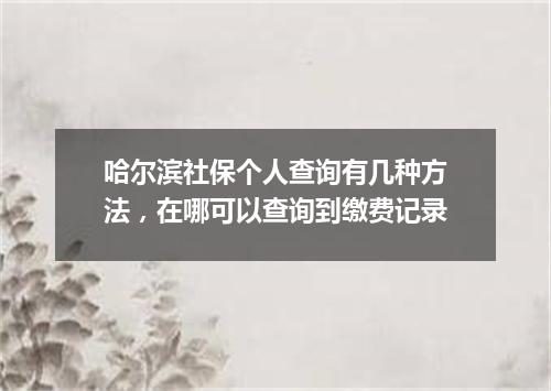 哈尔滨社保个人查询有几种方法，在哪可以查询到缴费记录