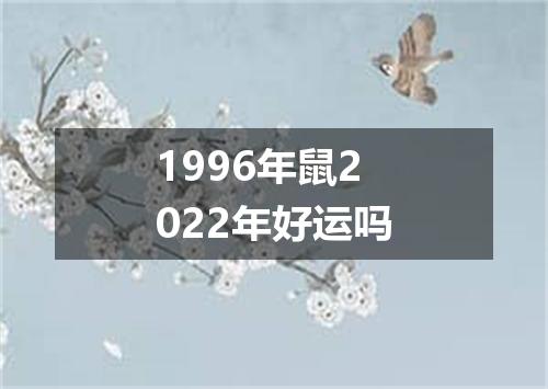1996年鼠2022年好运吗