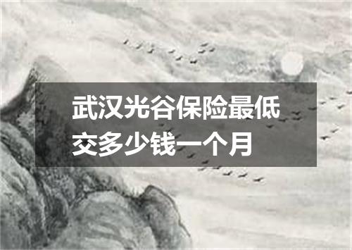 武汉光谷保险最低交多少钱一个月