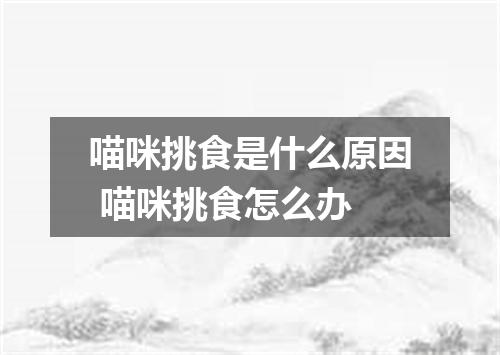 喵咪挑食是什么原因 喵咪挑食怎么办