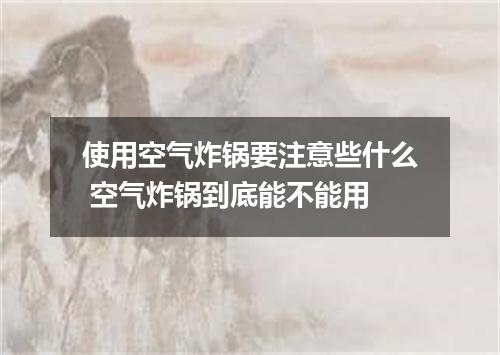 使用空气炸锅要注意些什么 空气炸锅到底能不能用